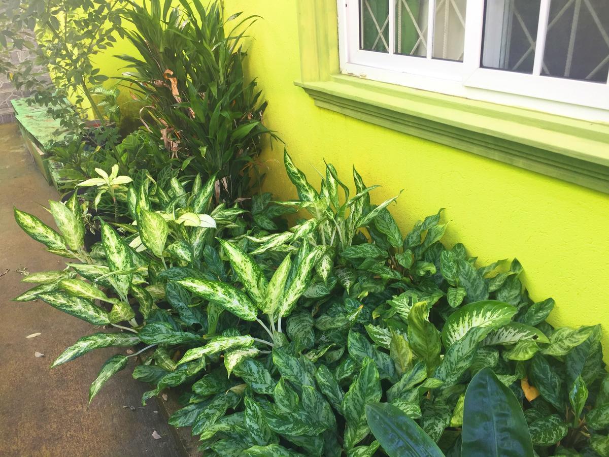 Yaad Hostel Montego Bay Exterior photo
